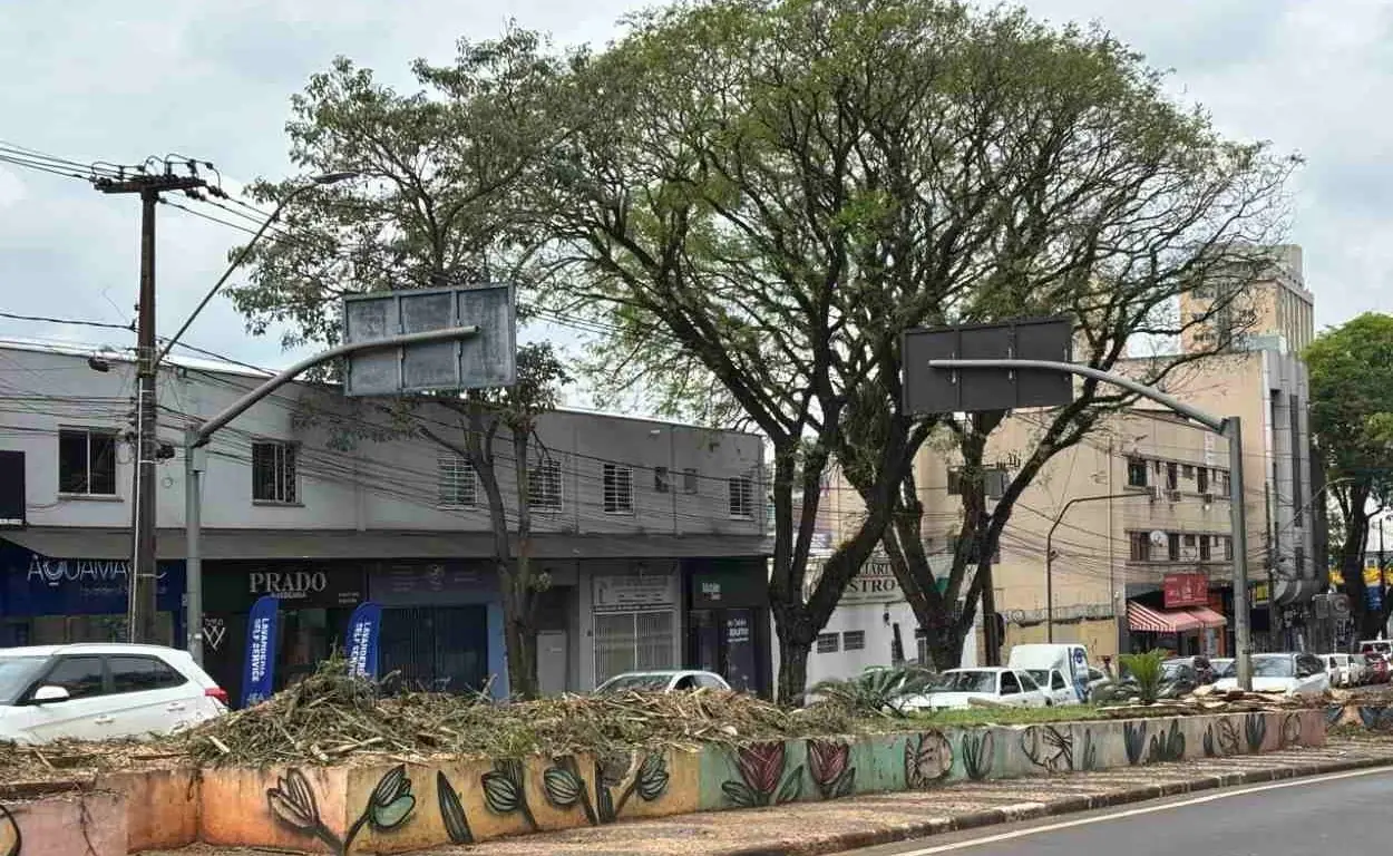 Obra da Avenida JK: o sacrifício de árvores em Foz do Iguaçu