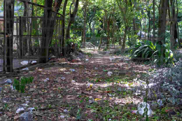 Bosque Guarani segue fechado para uso público no ano em que completa três décadas