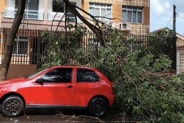 Chuva isolada em Foz do Iguaçu deixa rastro de galhos e árvores caídas##