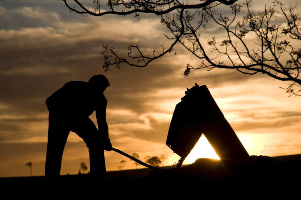 Redução da jornada 6×1 terá impacto de R$ 4,1 bi no agro do Paraná