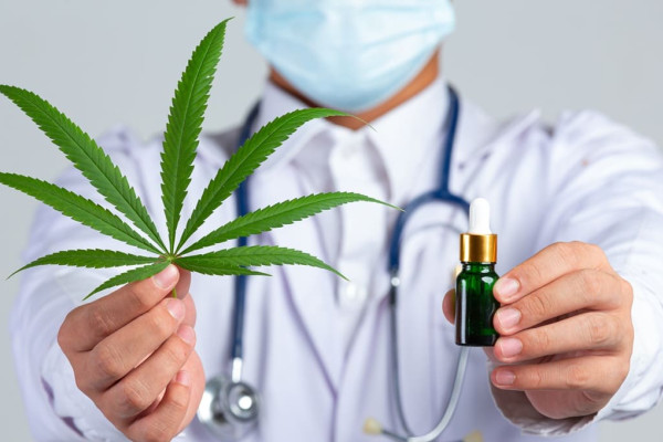 Paraguai fortalece regulamentação da cannabis medicinal