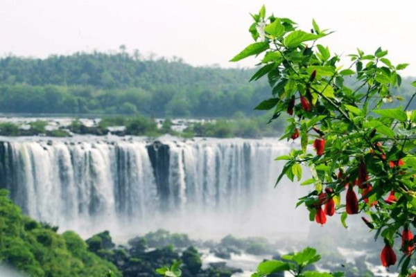 Câmara quer saber como será uso das receitas do turismo nas Cataratas