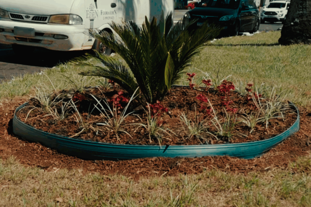 Prefeitura registra furto de mudas na Avenida das Cataratas e pede apoio