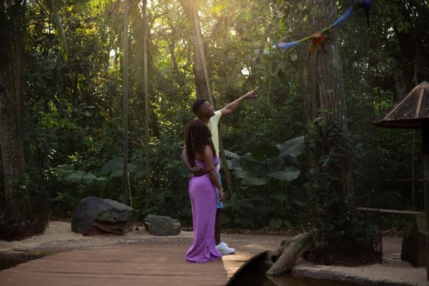 Parque das Aves bate recorde histórico e tem melhor 1º trimestre da história