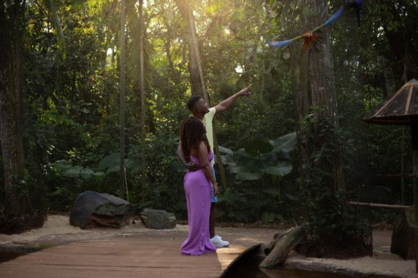 Parque das Aves bate recorde histórico e tem melhor 1º trimestre da história