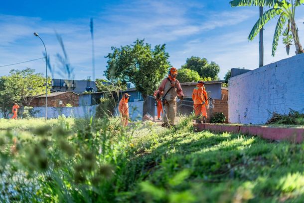 Região Oeste recebe mutirão com limpeza, plantio de árvores e serviços à população