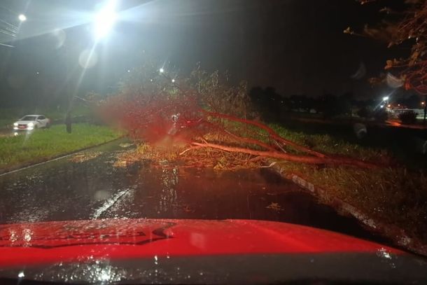 Defesa Civil Rajadas de vento derrubam árvores e mobilizam equipes durante a madrugada