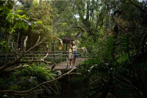 Parque das Aves terá novo horário no inverno e fechará mais cedo a partir de 18 de maio