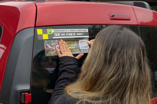 Blitz na Argentina combate o atropelamento de animais na fronteira